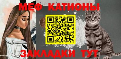 амф Дубна