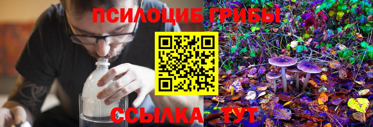 Галлюциногенные грибы ЛСД  Галлюциногенные грибы MAGIC MUSHROOMS  Моздок  Вход с VPN 
